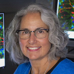 Anita Bhattacharyya