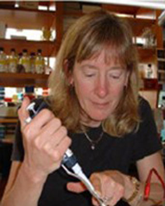 Anne Griep