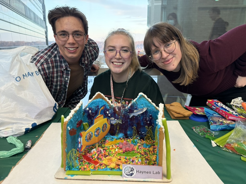 Professor and two students posing with ocean-themed gingerbread house.